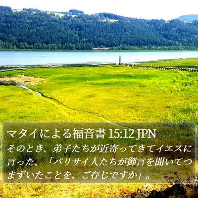 マタイによる福音書 15:12 JPN Bible Verse Image