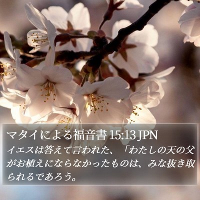 マタイによる福音書 15:13 JPN Bible Verse Image