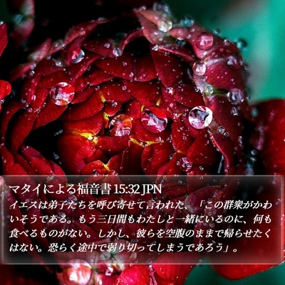 マタイによる福音書 15:32 JPN Bible Verse Image