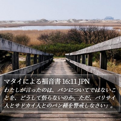 マタイによる福音書 16:11 JPN Bible Verse Image