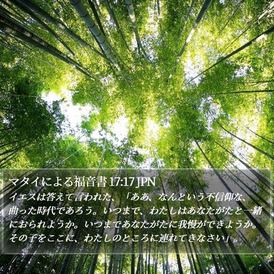 マタイによる福音書 17:17 JPN Bible Verse Image
