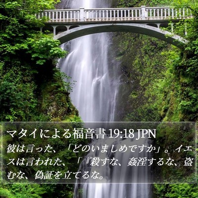 マタイによる福音書 19:18 JPN Bible Verse Image