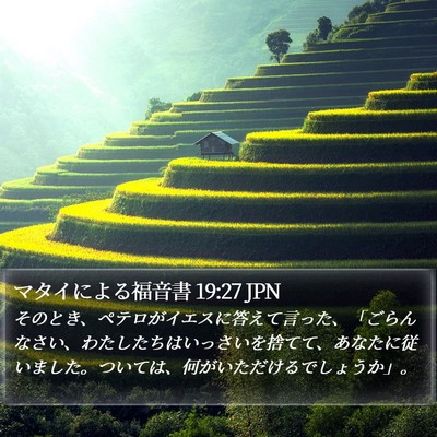 マタイによる福音書 19:27 JPN Bible Verse Image
