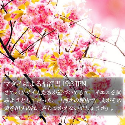 マタイによる福音書 19:3 JPN Bible Verse Image