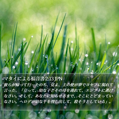 マタイによる福音書 2:13 JPN Bible Verse Image