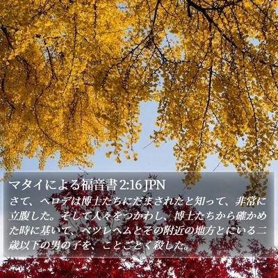 マタイによる福音書 2:16 JPN Bible Verse Image