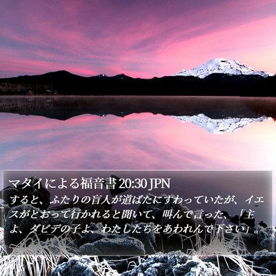 マタイによる福音書 20:30 JPN Bible Verse Image