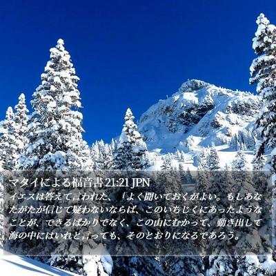 マタイによる福音書 21:21 JPN Bible Verse Image