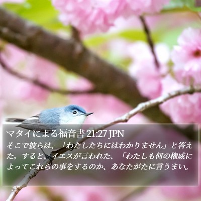 マタイによる福音書 21:27 JPN Bible Verse Image