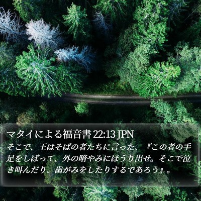 マタイによる福音書 22:13 JPN Bible Verse Image