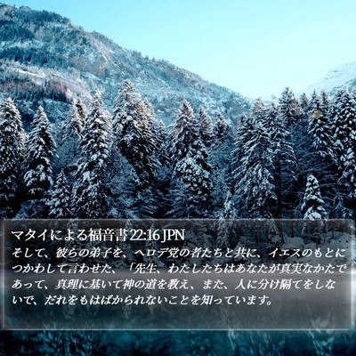 マタイによる福音書 22:16 JPN Bible Verse Image