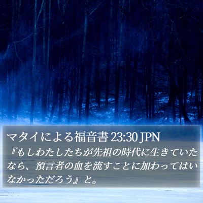 マタイによる福音書 23:30 JPN Bible Verse Image
