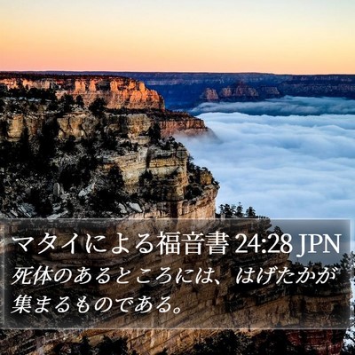 マタイによる福音書 24:28 JPN Bible Verse Image