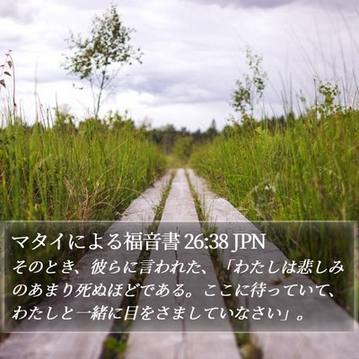 マタイによる福音書 26:38 JPN Bible Verse Image