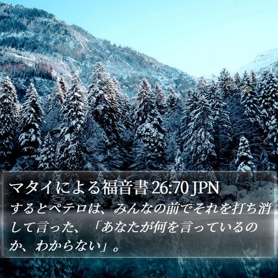 マタイによる福音書 26:70 JPN Bible Verse Image