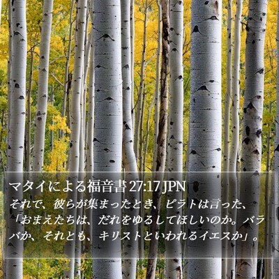 マタイによる福音書 27:17 JPN Bible Verse Image