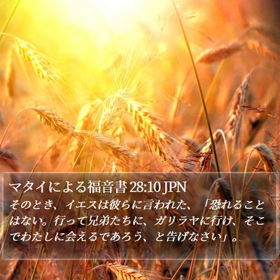 マタイによる福音書 28:10 JPN Bible Verse Image