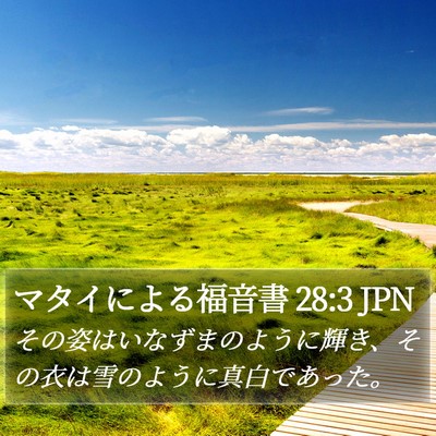 マタイによる福音書 28:3 JPN Bible Verse Image