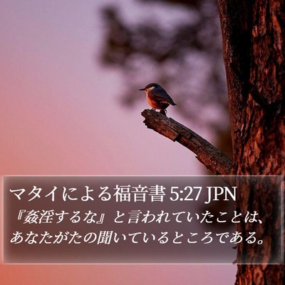 マタイによる福音書 5:27 JPN Bible Verse Image