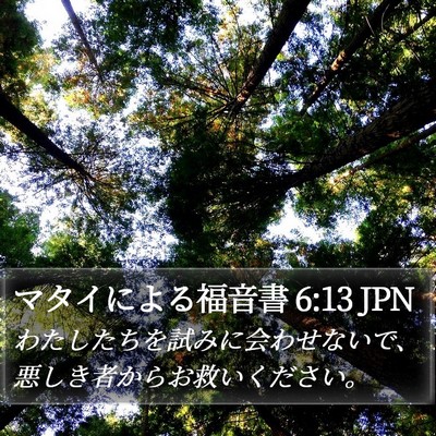 マタイによる福音書 6:13 JPN Bible Verse Image