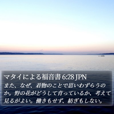 マタイによる福音書 6:28 JPN Bible Verse Image