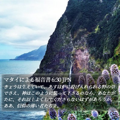 マタイによる福音書 6:30 JPN Bible Verse Image