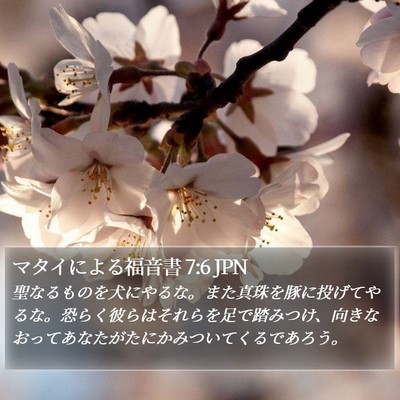 マタイによる福音書 7:6 JPN Bible Verse Image