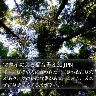 マタイによる福音書 8:20 JPN Bible Verse Image