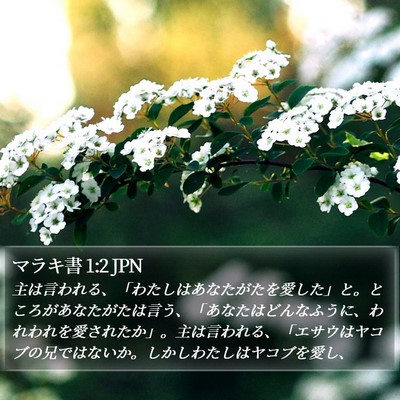 マラキ書 1:2 JPN Bible Verse Image