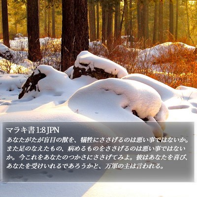 マラキ書 1:8 JPN Bible Verse Image