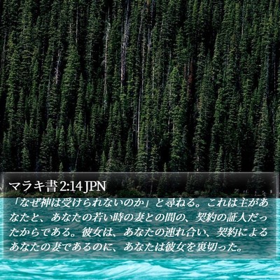マラキ書 2:14 JPN Bible Verse Image
