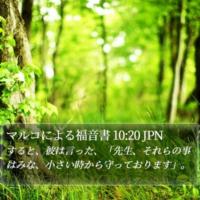 マルコによる福音書 10:20 JPN Bible Verse Image