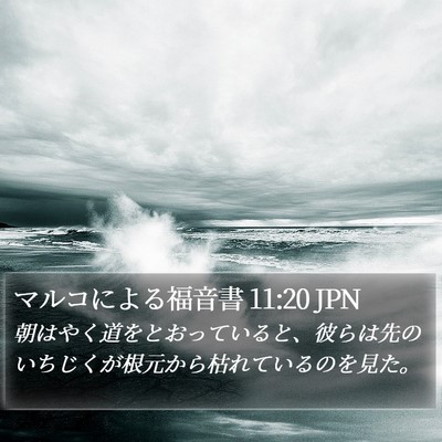 マルコによる福音書 11:20 JPN Bible Verse Image