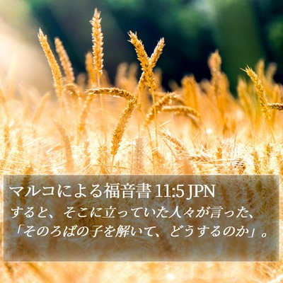 マルコによる福音書 11:5 JPN Bible Verse Image