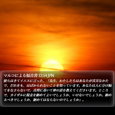 マルコによる福音書 12:14 JPN Bible Verse Image