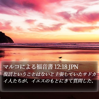 マルコによる福音書 12:18 JPN Bible Verse Image