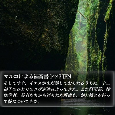 マルコによる福音書 14:43 JPN Bible Verse Image
