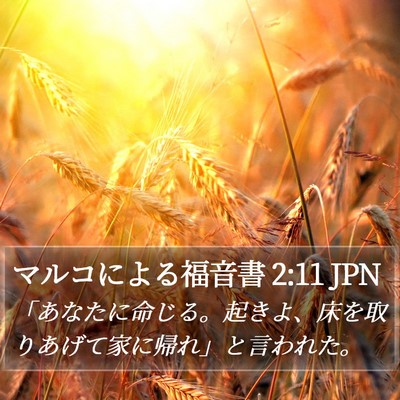 マルコによる福音書 2:11 JPN Bible Verse Image