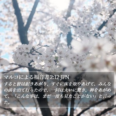 マルコによる福音書 2:12 JPN Bible Verse Image