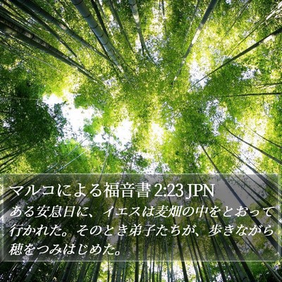 マルコによる福音書 2:23 JPN Bible Verse Image