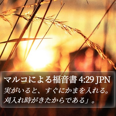 マルコによる福音書 4:29 JPN Bible Verse Image
