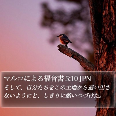 マルコによる福音書 5:10 JPN Bible Verse Image