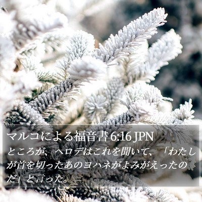マルコによる福音書 6:16 JPN Bible Verse Image