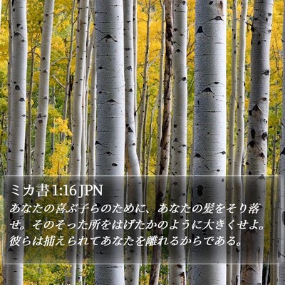 ミカ書 1:16 JPN Bible Verse Image