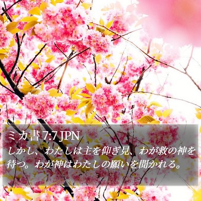 ミカ書 7:7 JPN Bible Verse Image