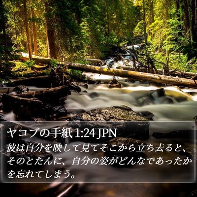 ヤコブの手紙 1:24 JPN Bible Verse Image
