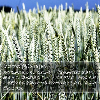 ヤコブの手紙 2:16 JPN Bible Verse Image