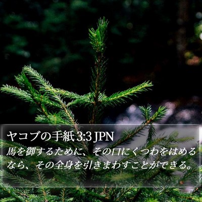 ヤコブの手紙 3:3 JPN Bible Verse Image