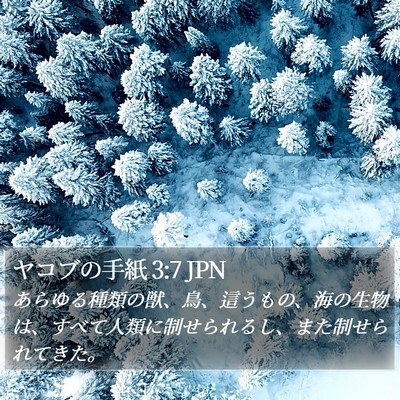 ヤコブの手紙 3:7 JPN Bible Verse Image