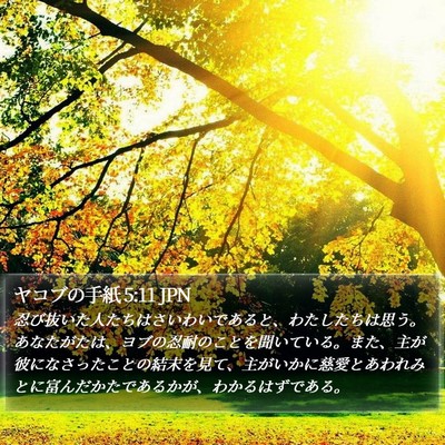 ヤコブの手紙 5:11 JPN Bible Verse Image